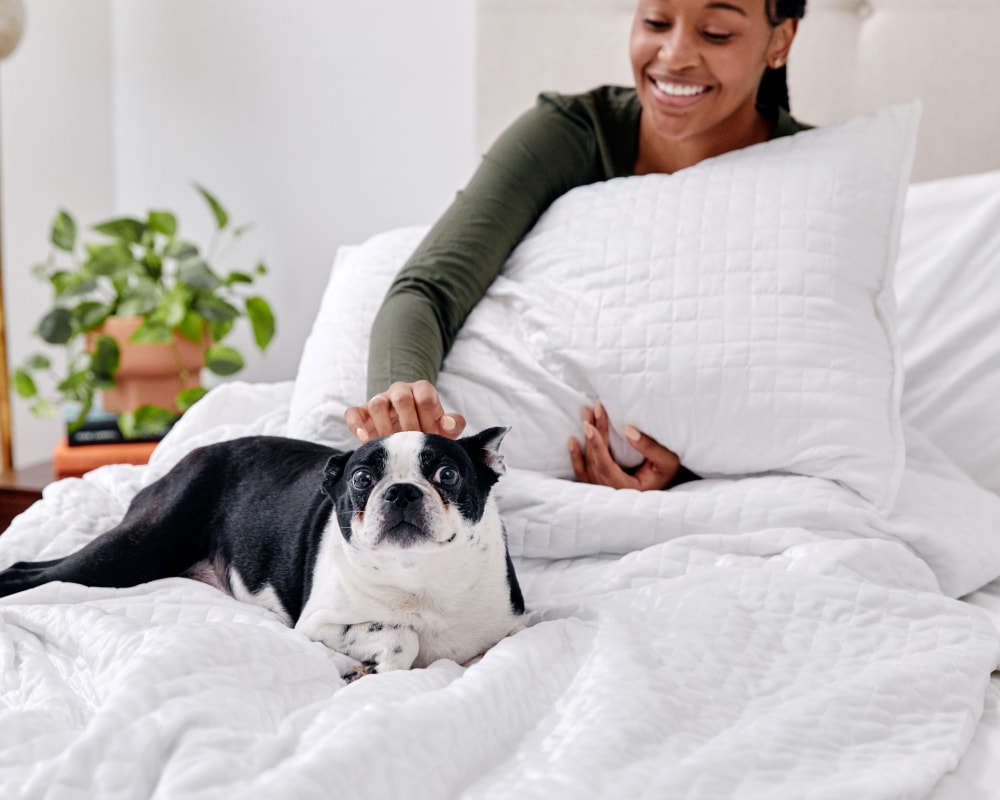 Luxury Weighted Blanke Shady Grey