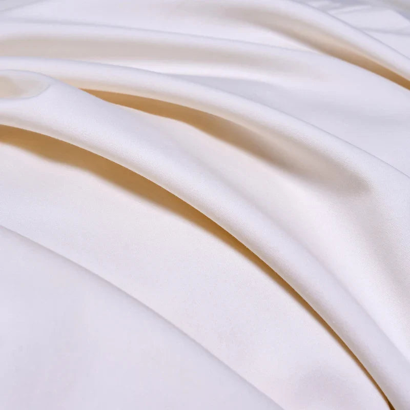 100% Egyptian Cotton Bed Sheet Set 1000TC [Queen & King]